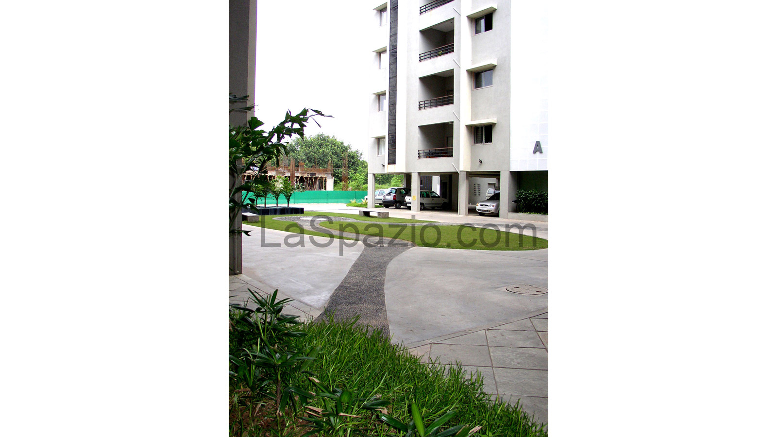 P9140086